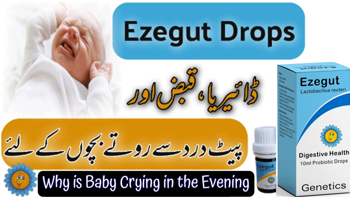 Ezegut Drops for Babies