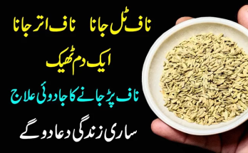 Health Benefits of Oiling Your Belly Button Daily 1 health Benefits of Oiling Your Belly Button